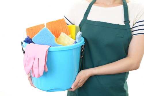 Domestic cleaning professional in Harrow cleaning a family living room