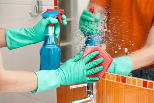Professional home cleaners in Harrow cleaning a bright living room