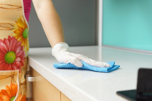 Professional cleaning company in Harrow serving homes and offices