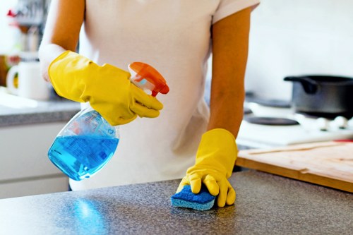 Detailed deep cleaning in Harrow to restore a spotless living space