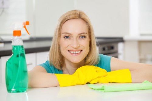 Experienced cleaners carrying out detailed cleaning in Harrow property