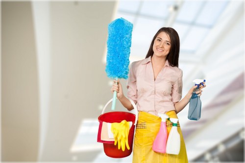 Detailed carpet care assessment for Harrow homes and businesses