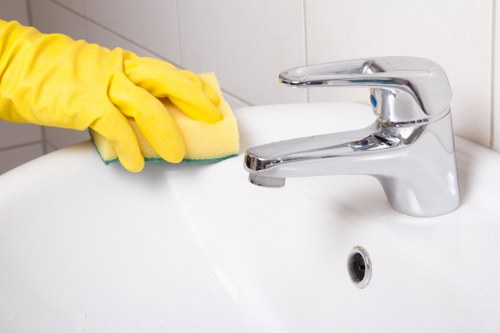 Professional assessment of a carpet cleaning concern