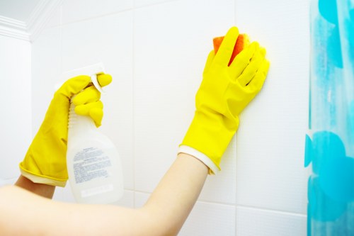 Professional oven cleaning in Harrow with a sparkling kitchen appliance