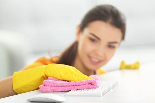 Bathroom deep cleaning service in a Harrow home