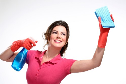 Supplier due diligence and audit process for ethical carpet cleaning