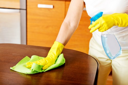 Deep cleaning an oven interior with specialist tools in Harrow